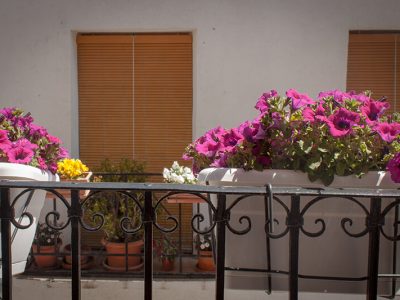 Casa Amparo