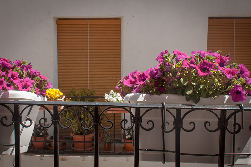 Casa Amparo